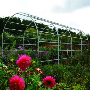 Roman Garden Pergola Lichen Green